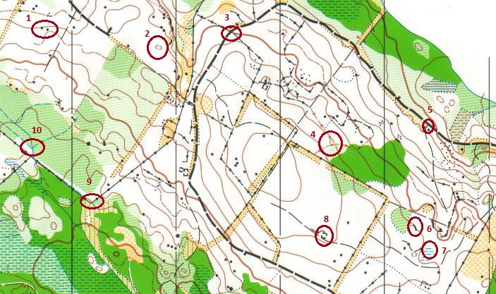 Section of an orienteering map